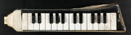 Hohner Melodica Piano 26 Played by Augustus Pablo