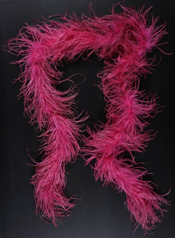 Feather Boa circa 1970: formerly owned by Janis Joplin